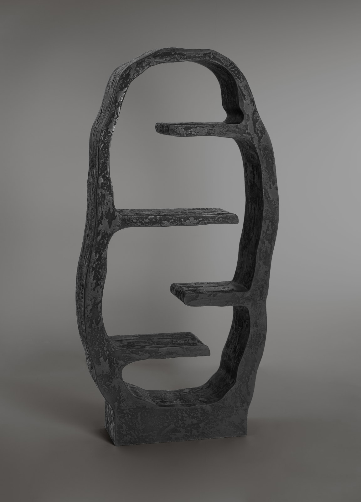 Pierre Bonnefille, Bibliothèque Rhizome - Carbon, 2021