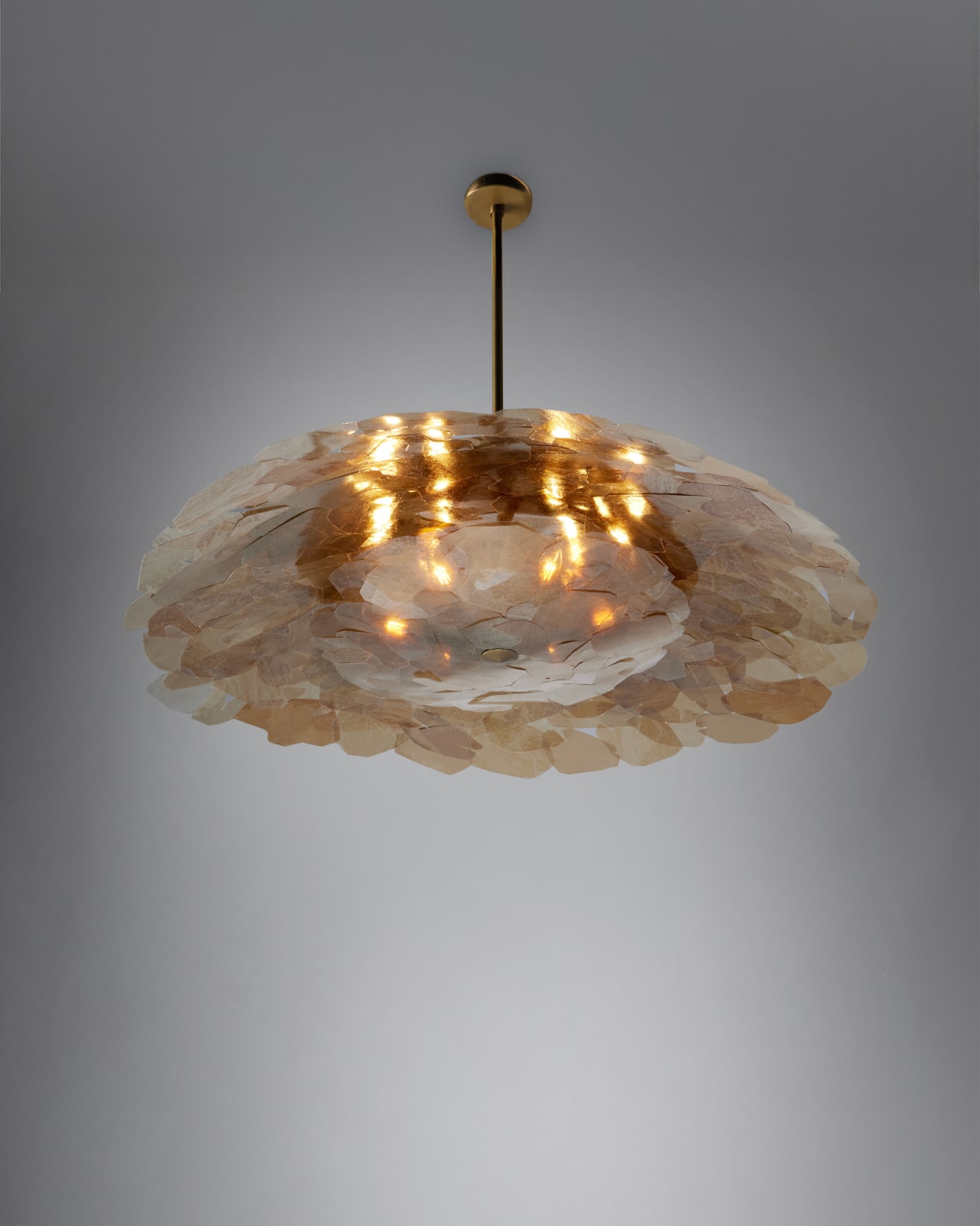 Jean-Gabriel Neukomm, Nephelepsis, Salon, 2025