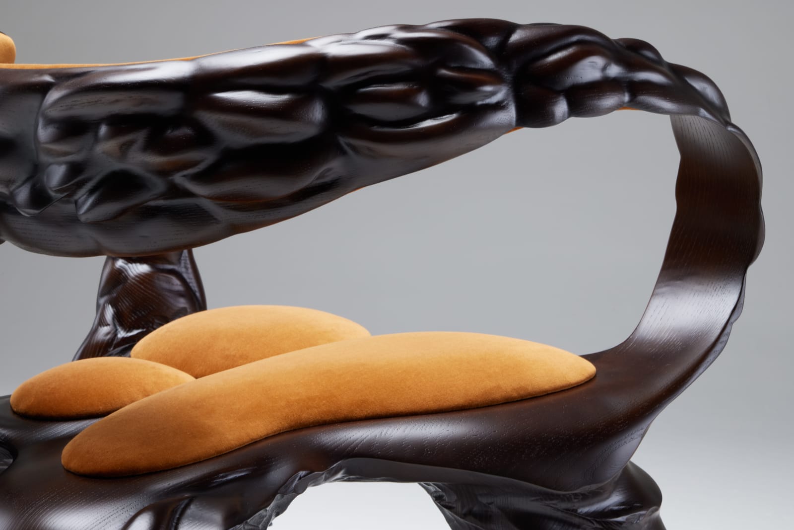 Jan Waterston, Strata Chair, 2025