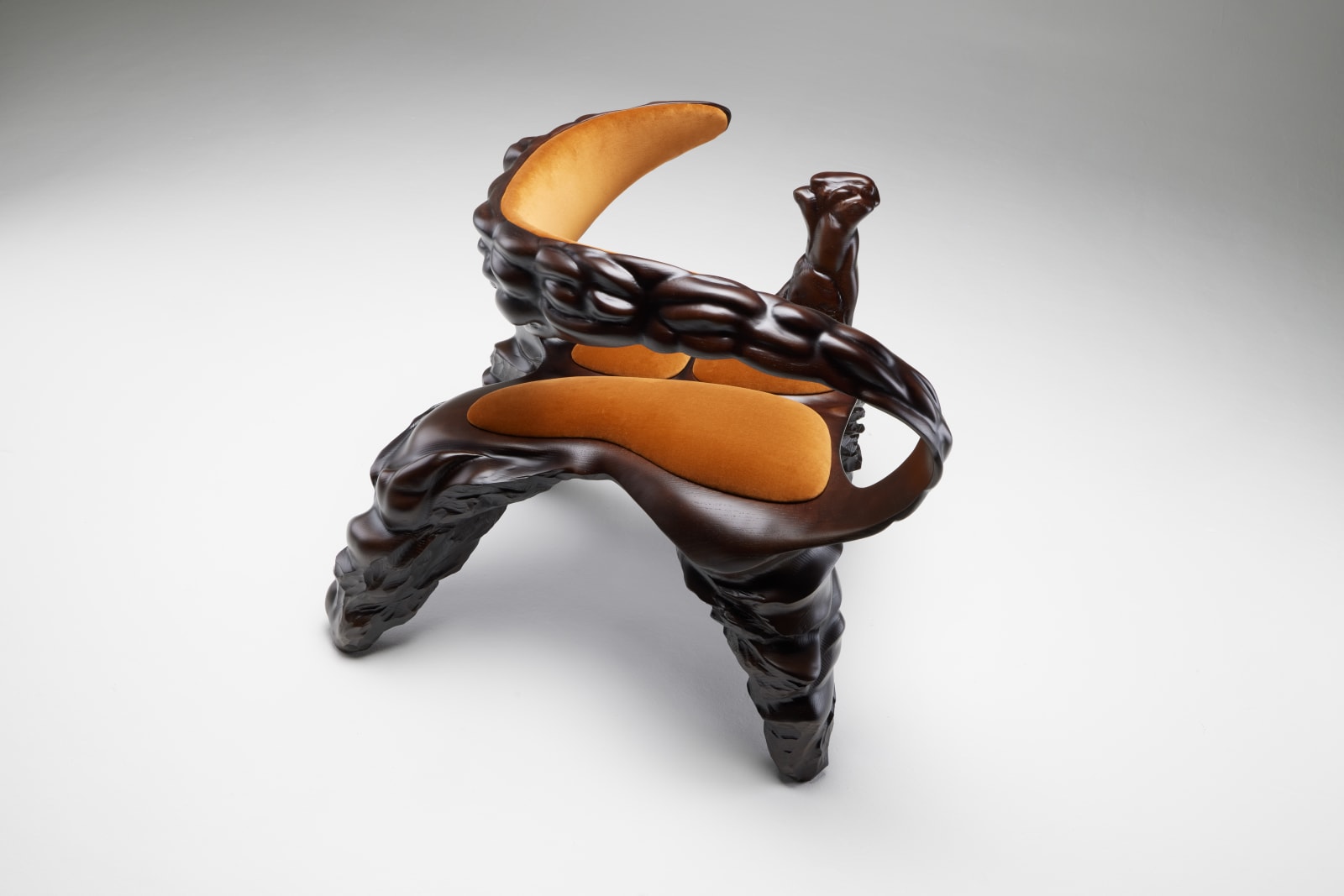 Jan Waterston, Strata Chair, 2025