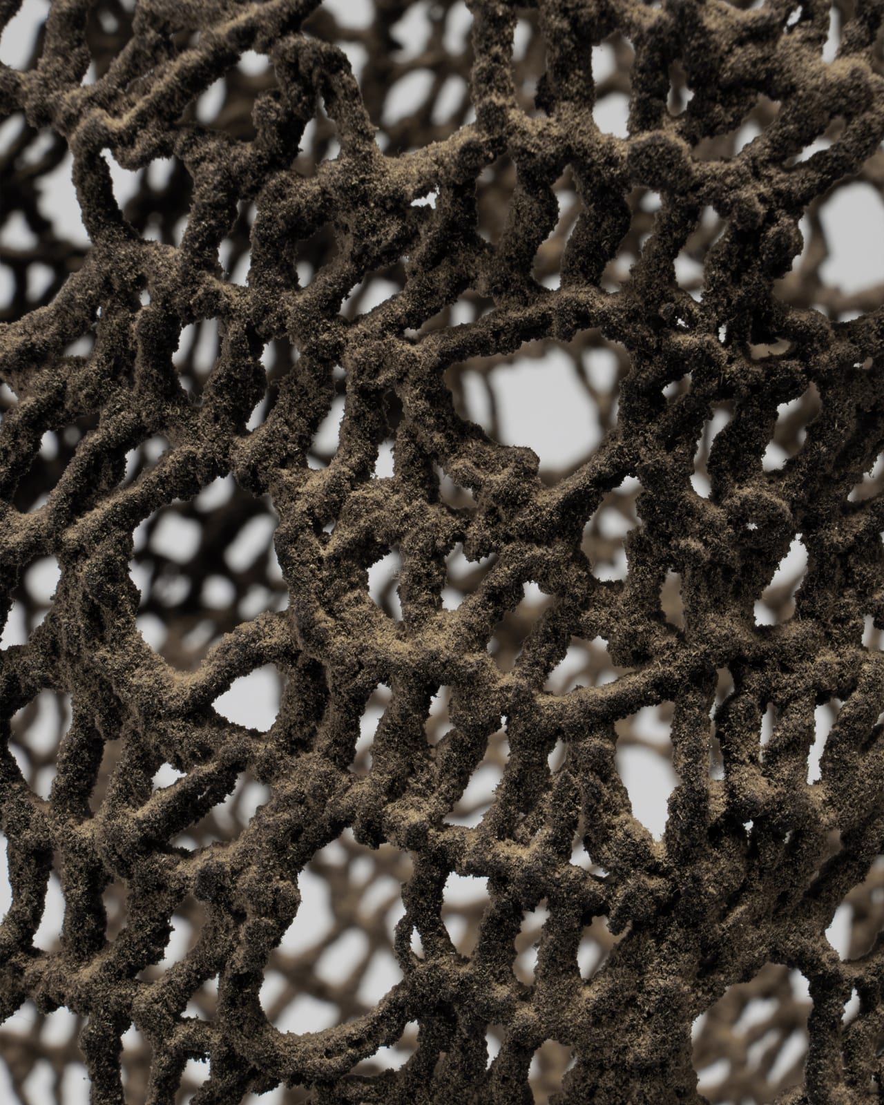 Kyeok Kim, Second surface Ob18, 2025