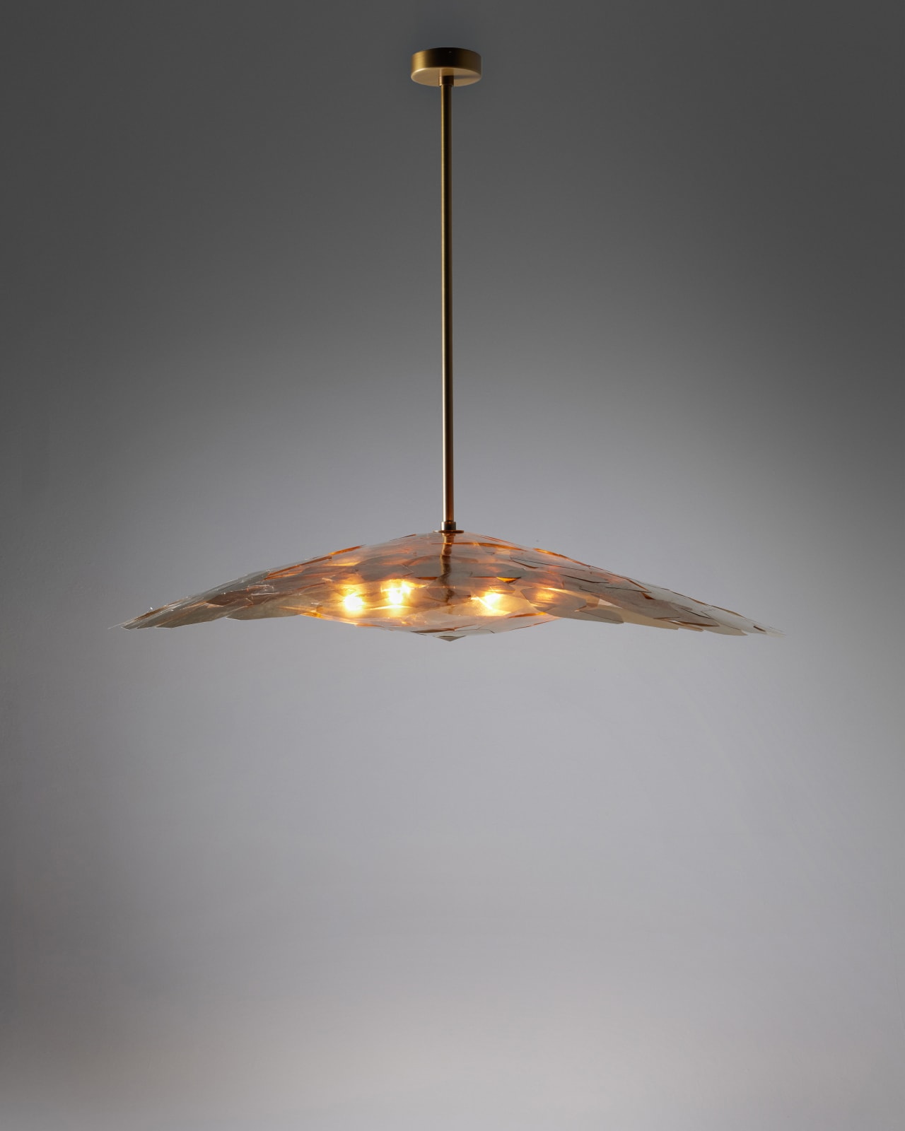 Jean-Gabriel Neukomm, Nephelepsis, 2025