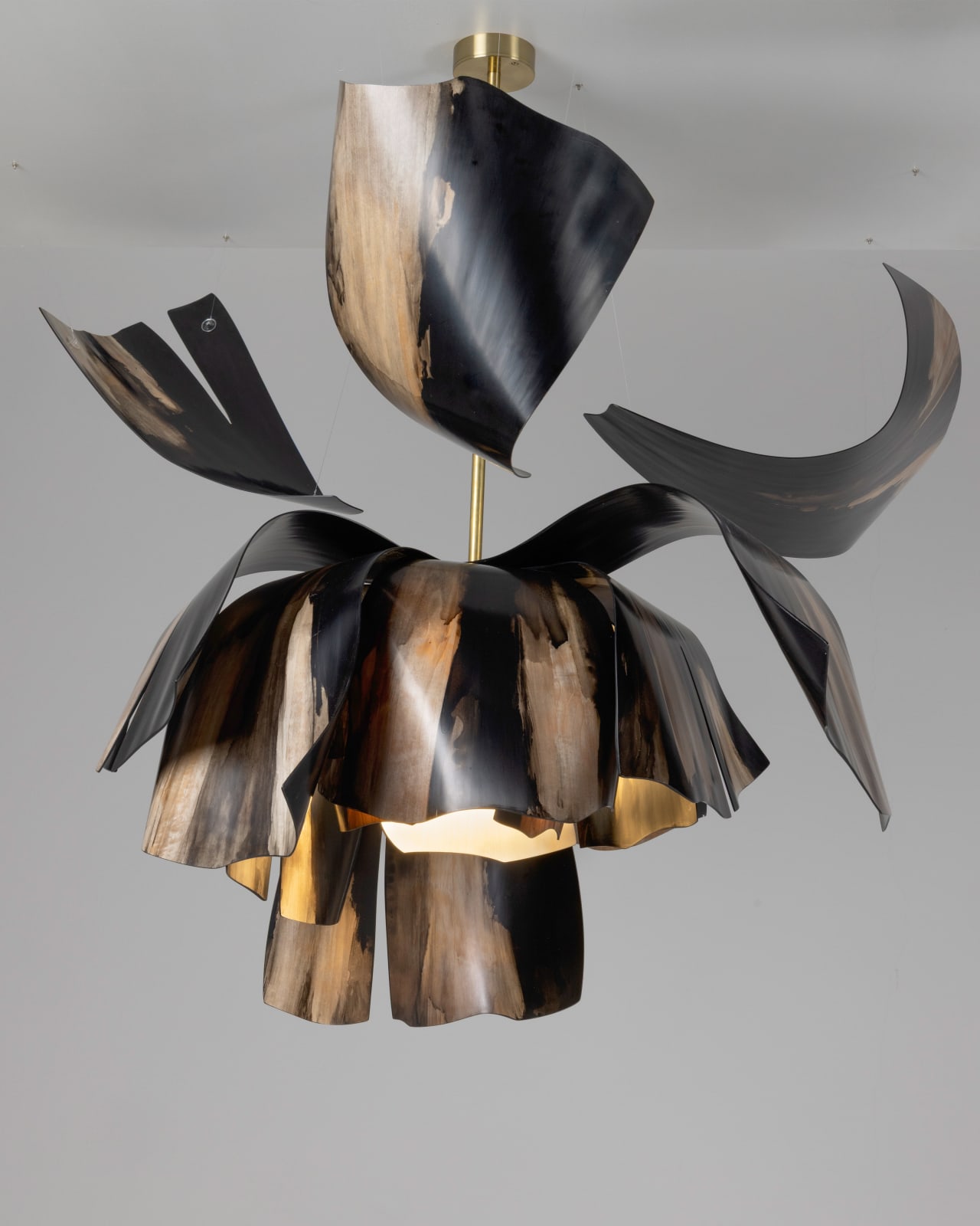 Ian Milnes, Midnight Tulip, 2025