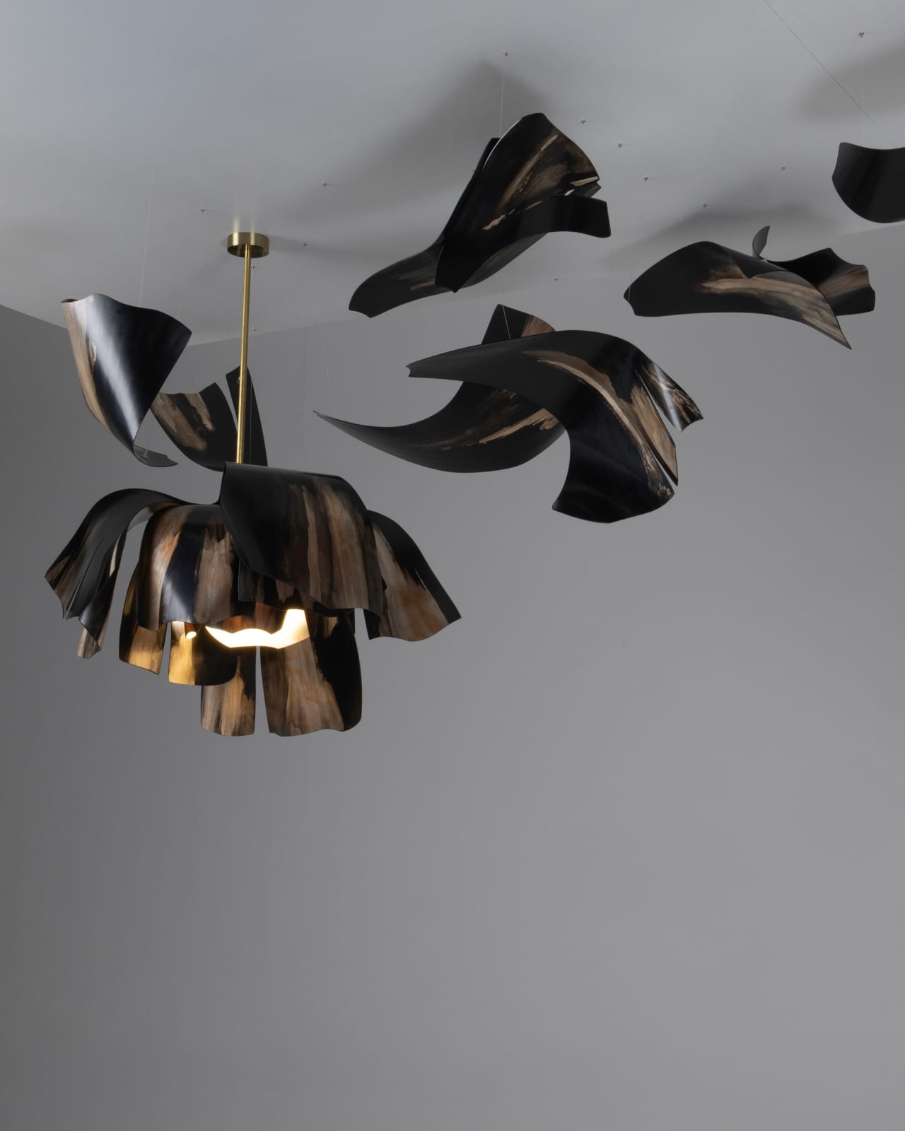 Ian Milnes, Midnight Tulip, 2025