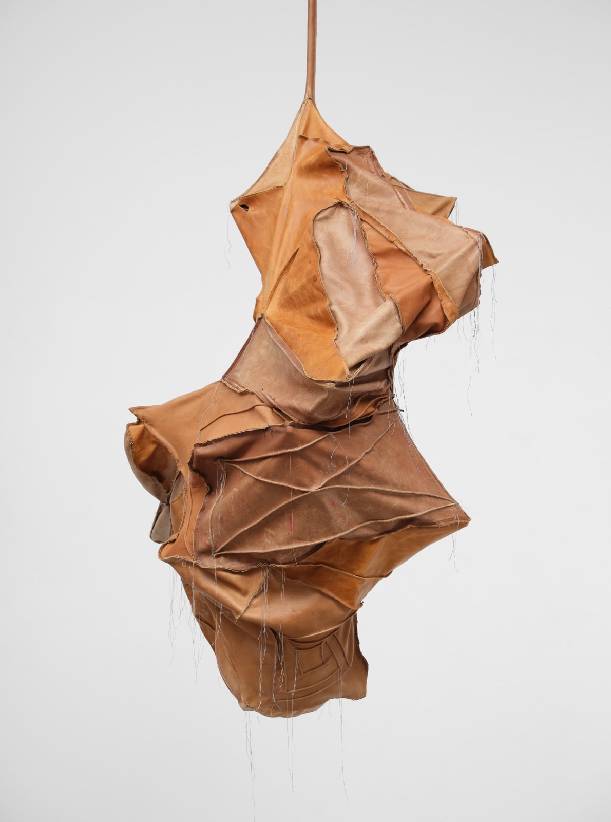 Esteban Ramón Pérez, Cocoon (Shadow Clone), 2025
