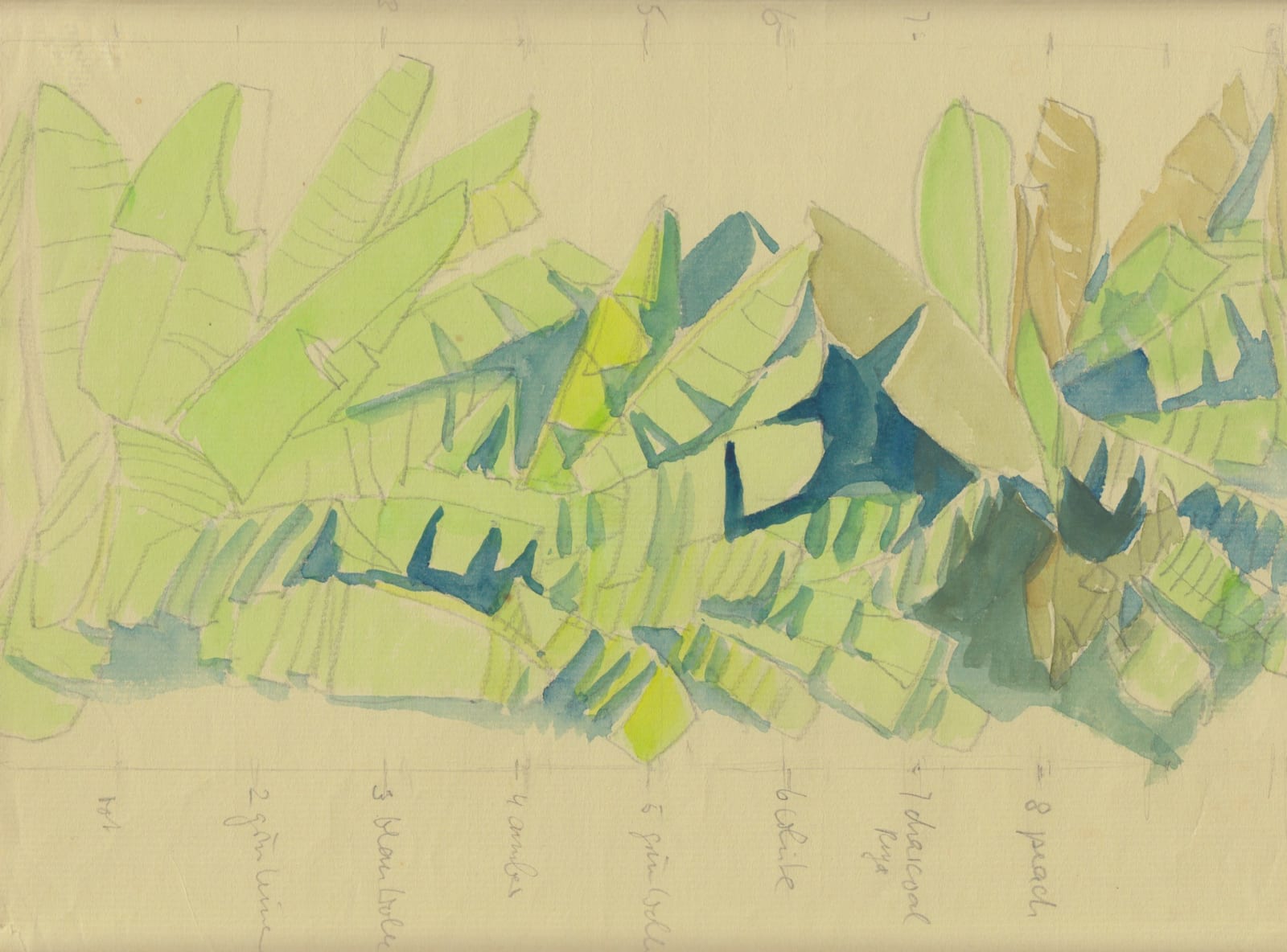 Silvia Heyden, Banana Plantation l - Sketch, 1980