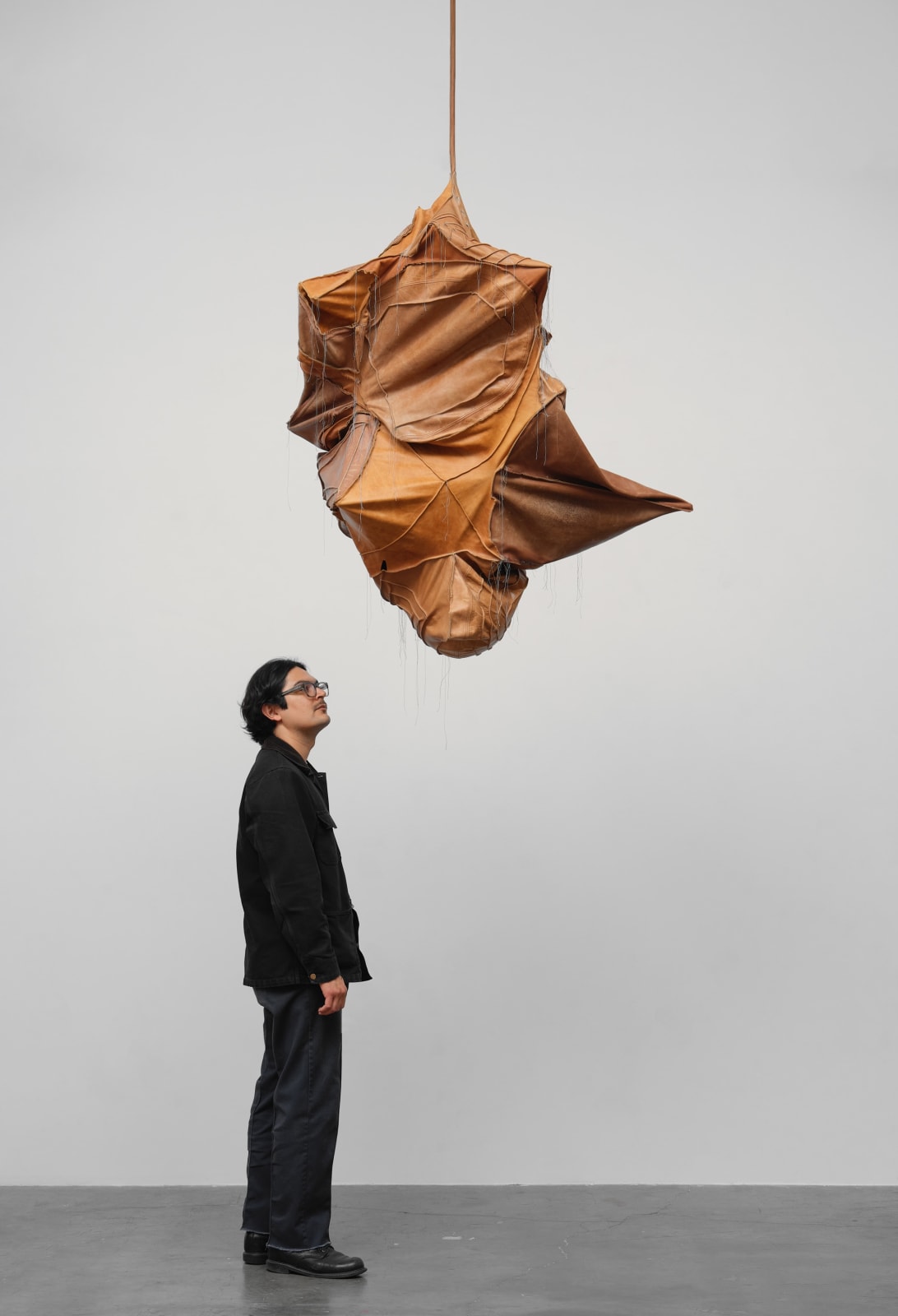 Esteban Ramón Pérez, Cocoon (Shadow Clone), 2025