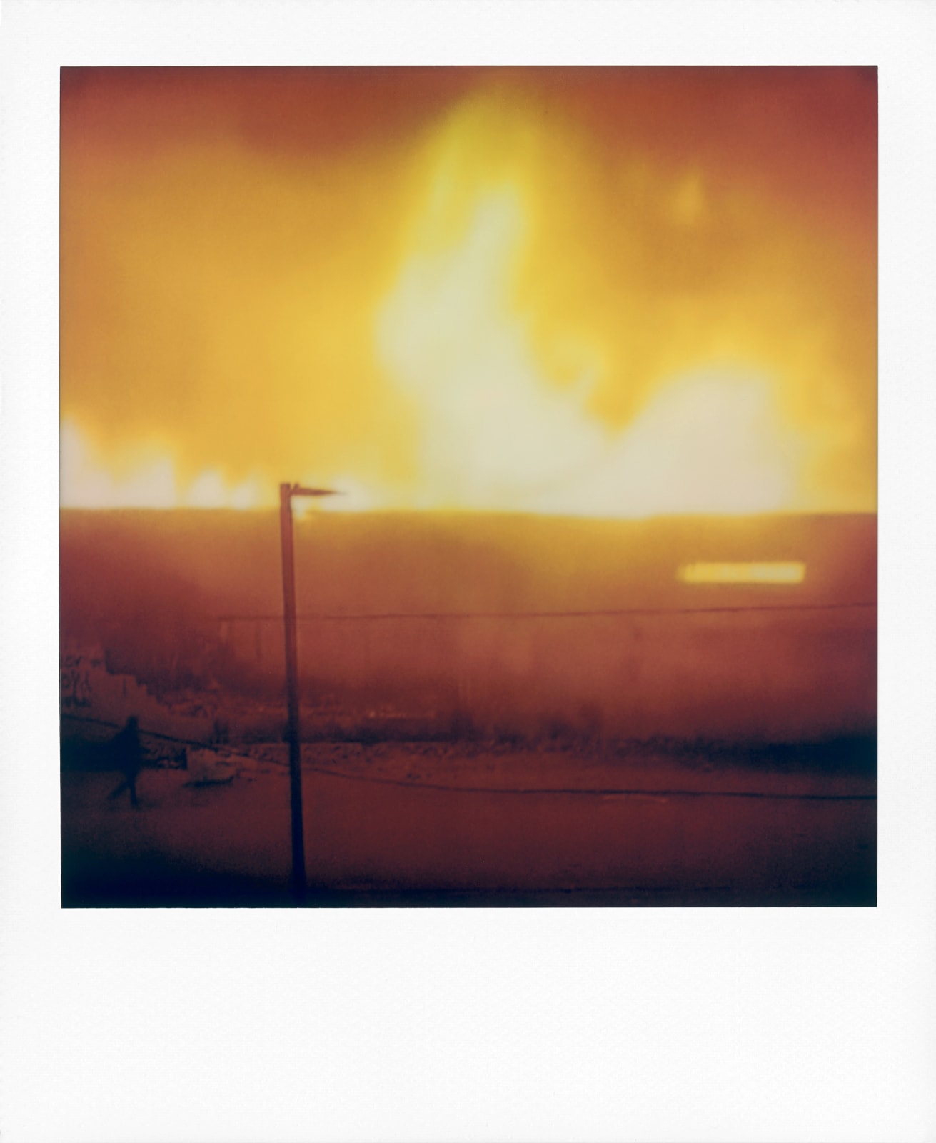 Sean Donnola, Untitled, 2020