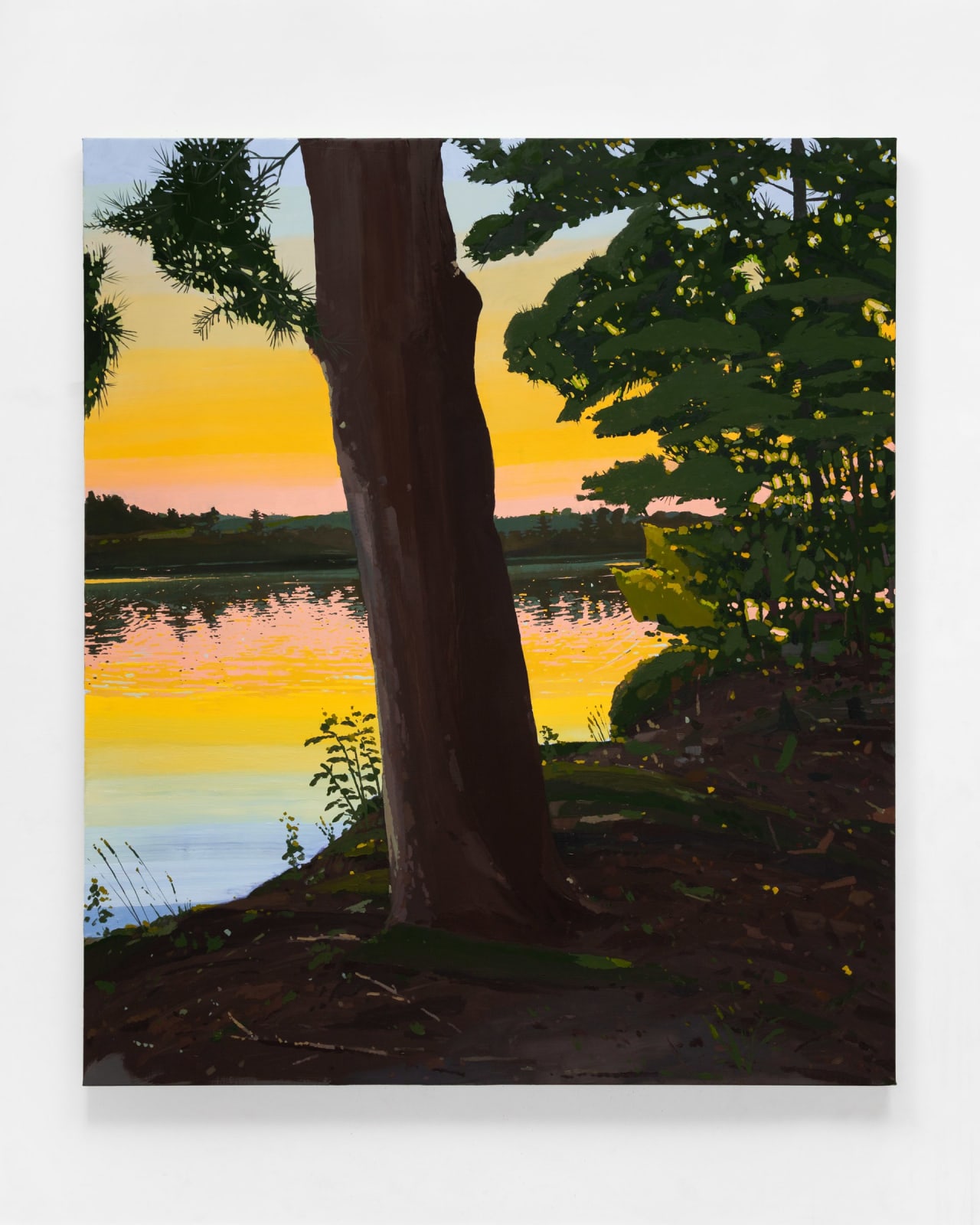 Keiran Brennan Hinton, The White Pine, 2025