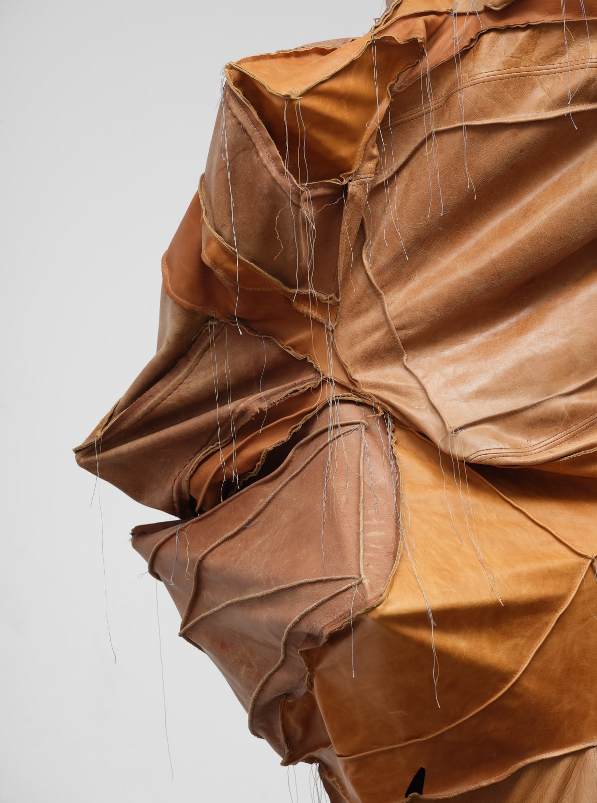 Esteban Ramón Pérez, Cocoon (Shadow Clone), 2025