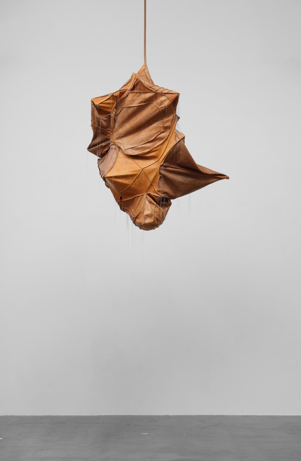 Esteban Ramón Pérez, Cocoon (Shadow Clone), 2025
