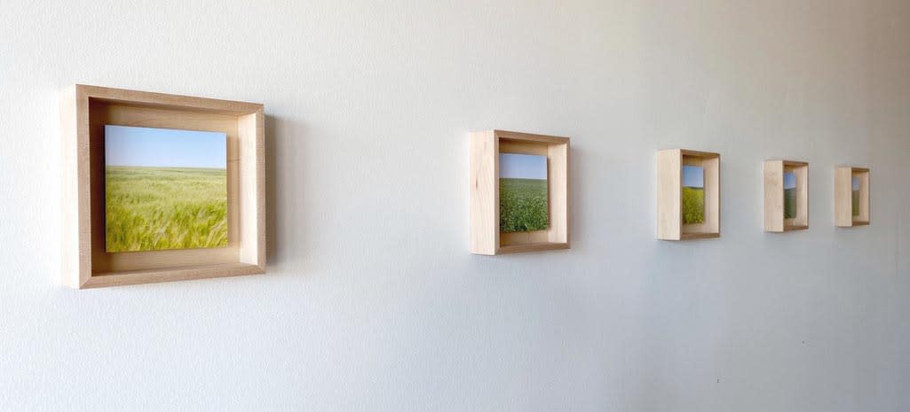 Grace Clark, 4. Sweet Fields IV, 2020