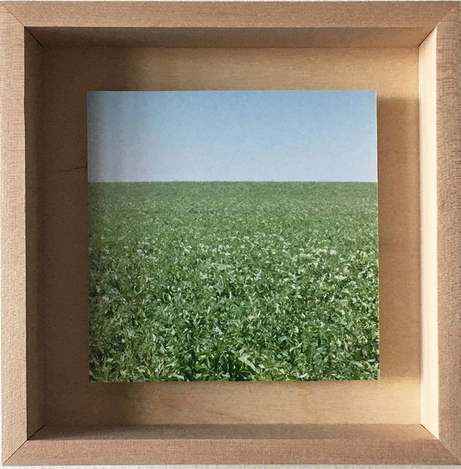 Grace Clark, 2. Sweet Fields II, 2020
