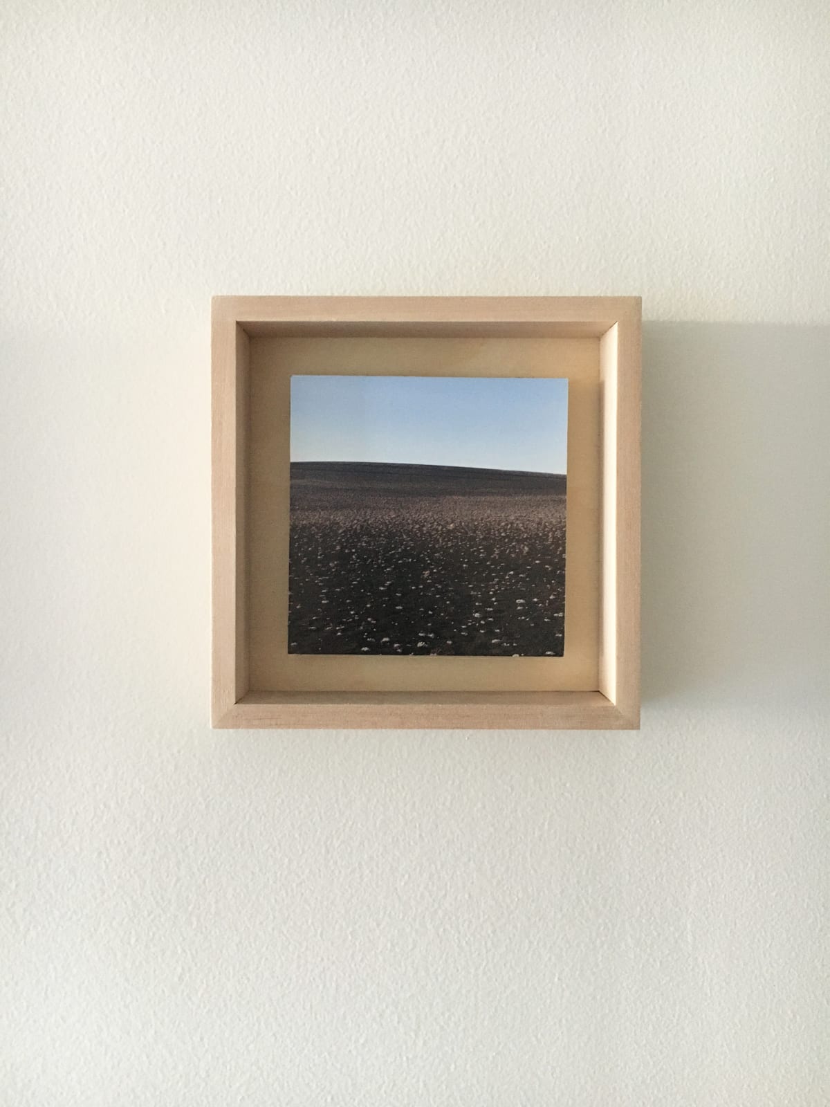 Grace Clark, 14. Sweet Fields XI, 2020