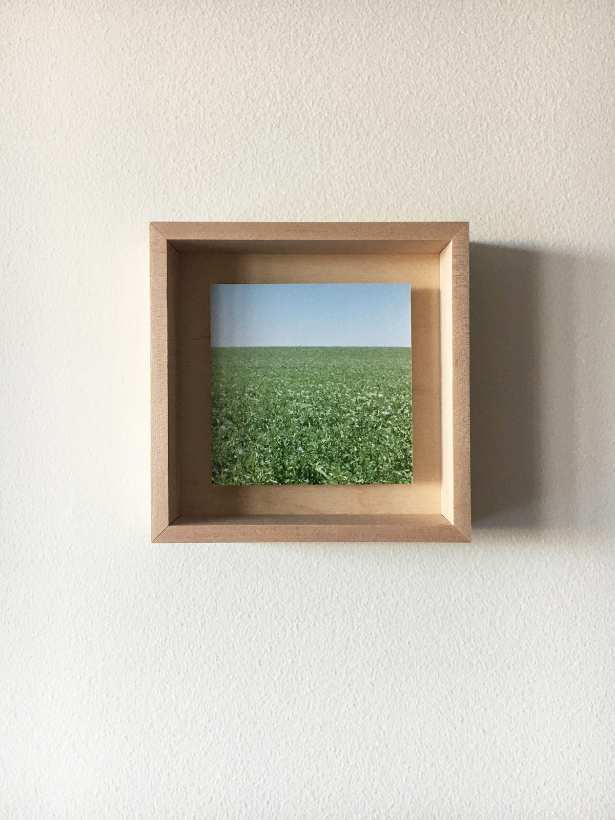 Grace Clark, 2. Sweet Fields II, 2020