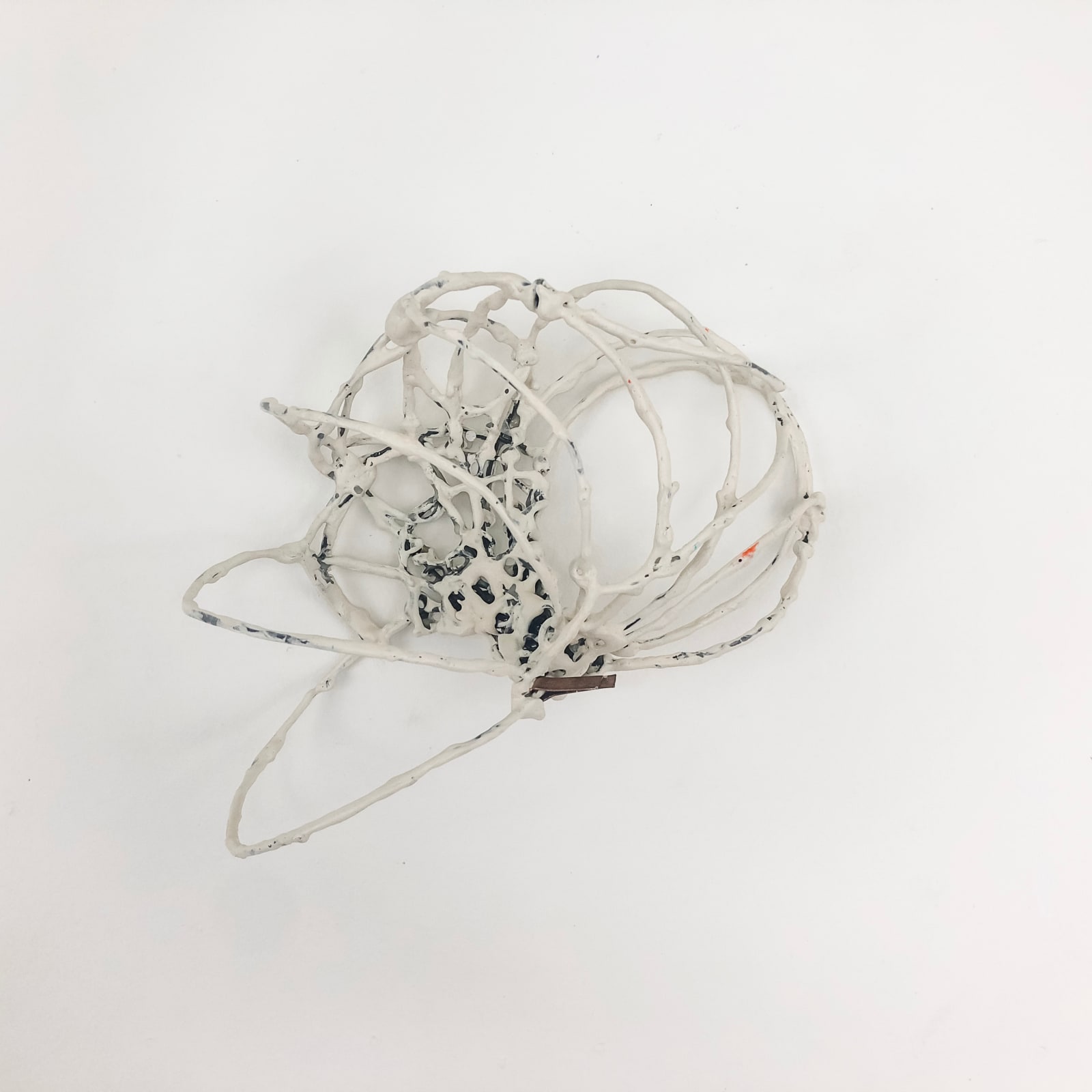 Kelly Sheppard Murray, Curiosity No. 289, 2017