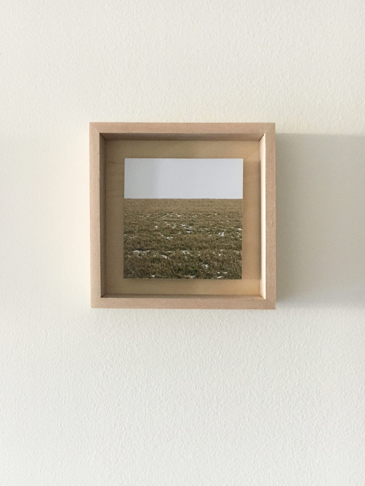 Grace Clark, 12. Sweet Fields IX, 2020