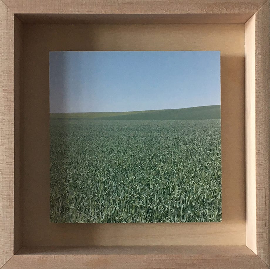 Grace Clark, 4. Sweet Fields IV, 2020