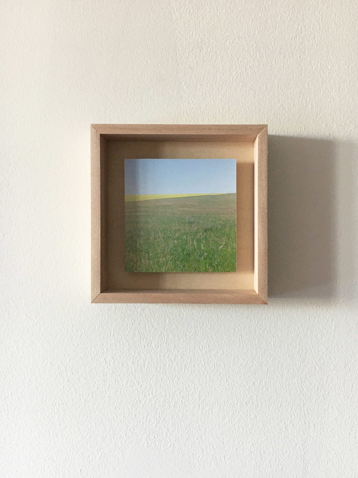 Grace Clark, 5. Sweet Fields V, 2020