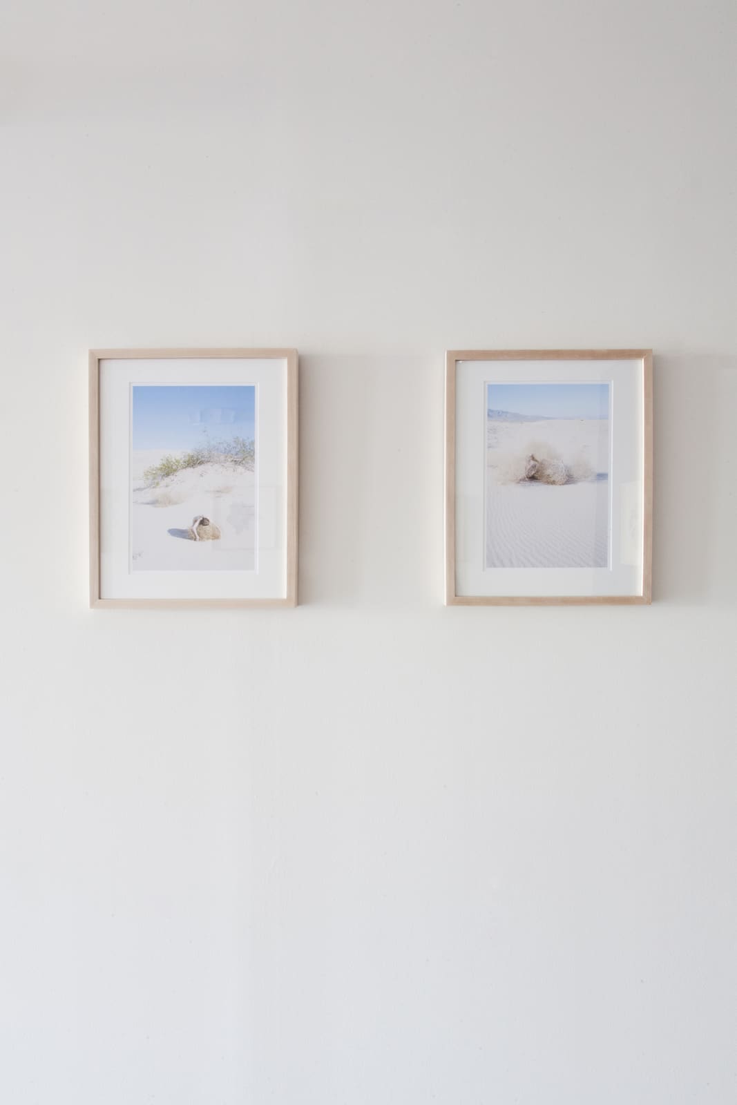 Grace Clark, 15. Kelso Dunes I, 2017