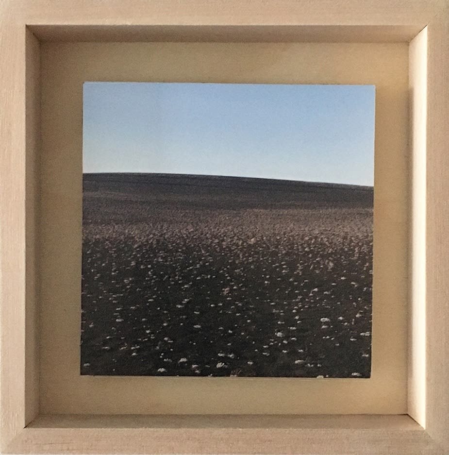 Grace Clark, 14. Sweet Fields XI, 2020