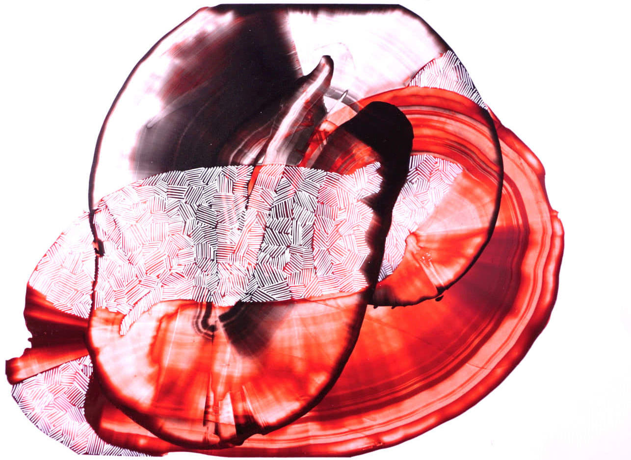 Pete Sack, Attunement II, 2021