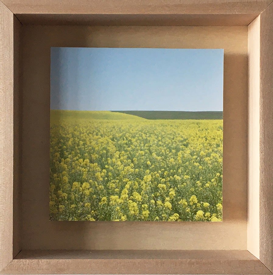 Grace Clark, 3. Sweet Fields III, 2020