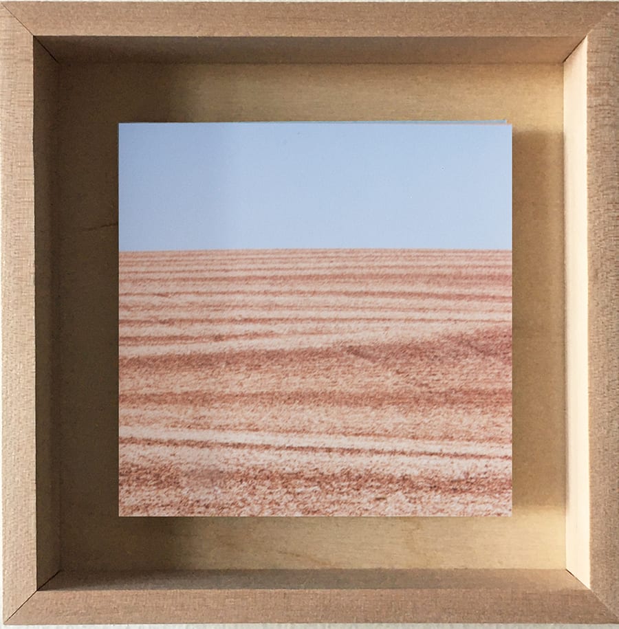 Grace Clark, 11. Sweet Fields VIII, 2020