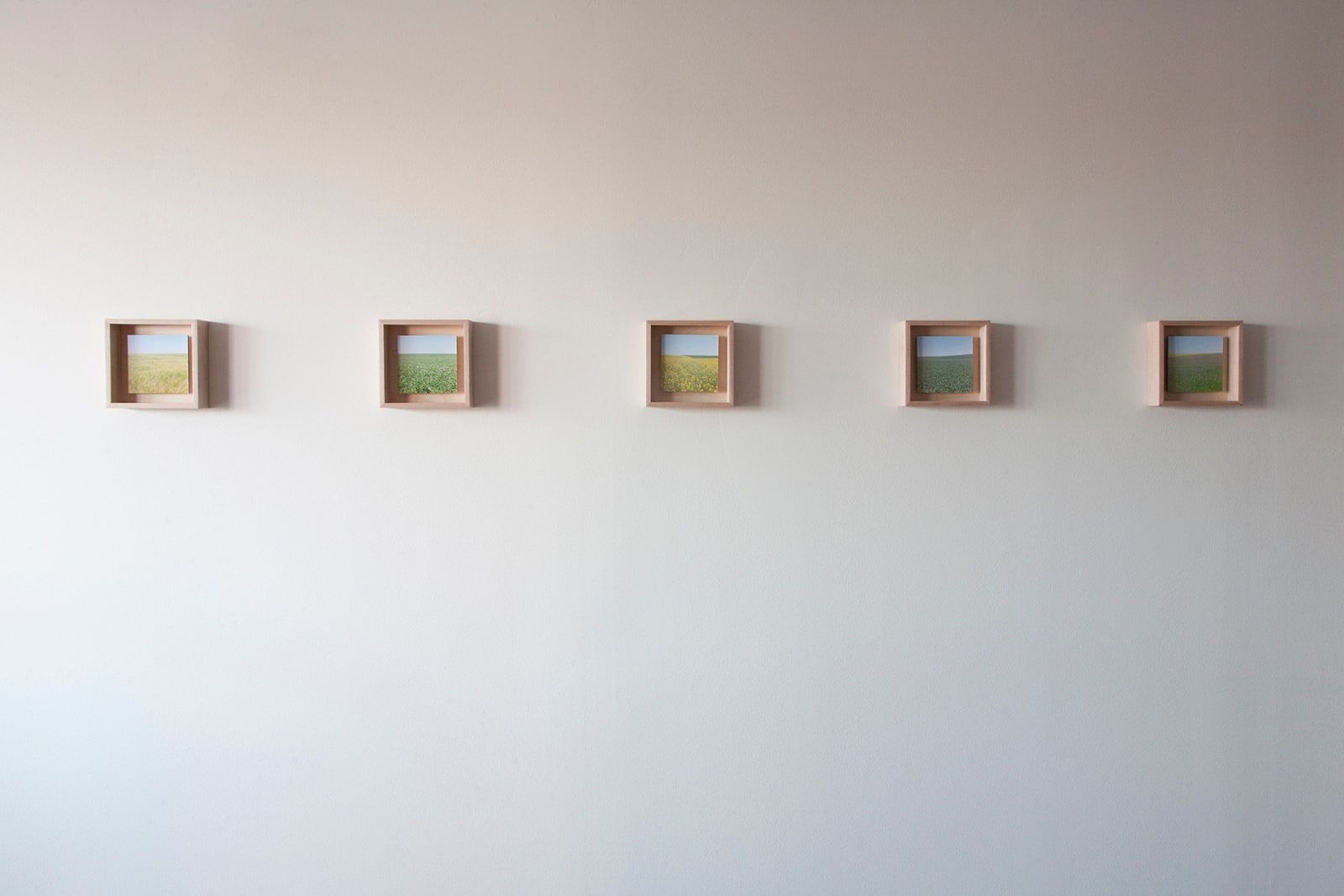Grace Clark, 1. Sweet Fields I, 2020