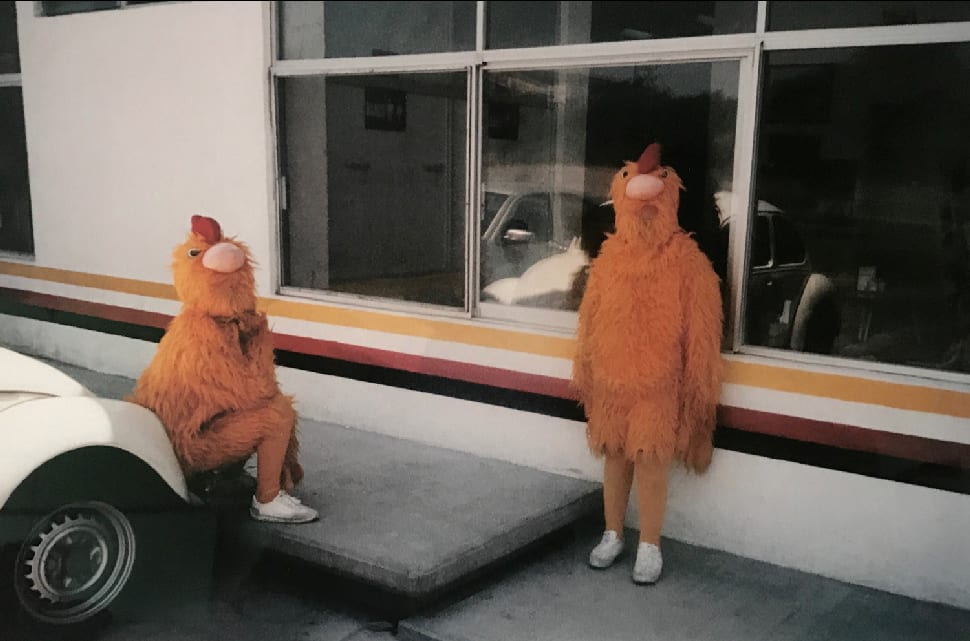 RUSSELL MONK, Pollo Feliz (Happy Chickens), Amusing World, Mexico, 1999