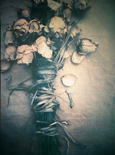 DIANA BLOOMFIELD, Bound Roses, 2019