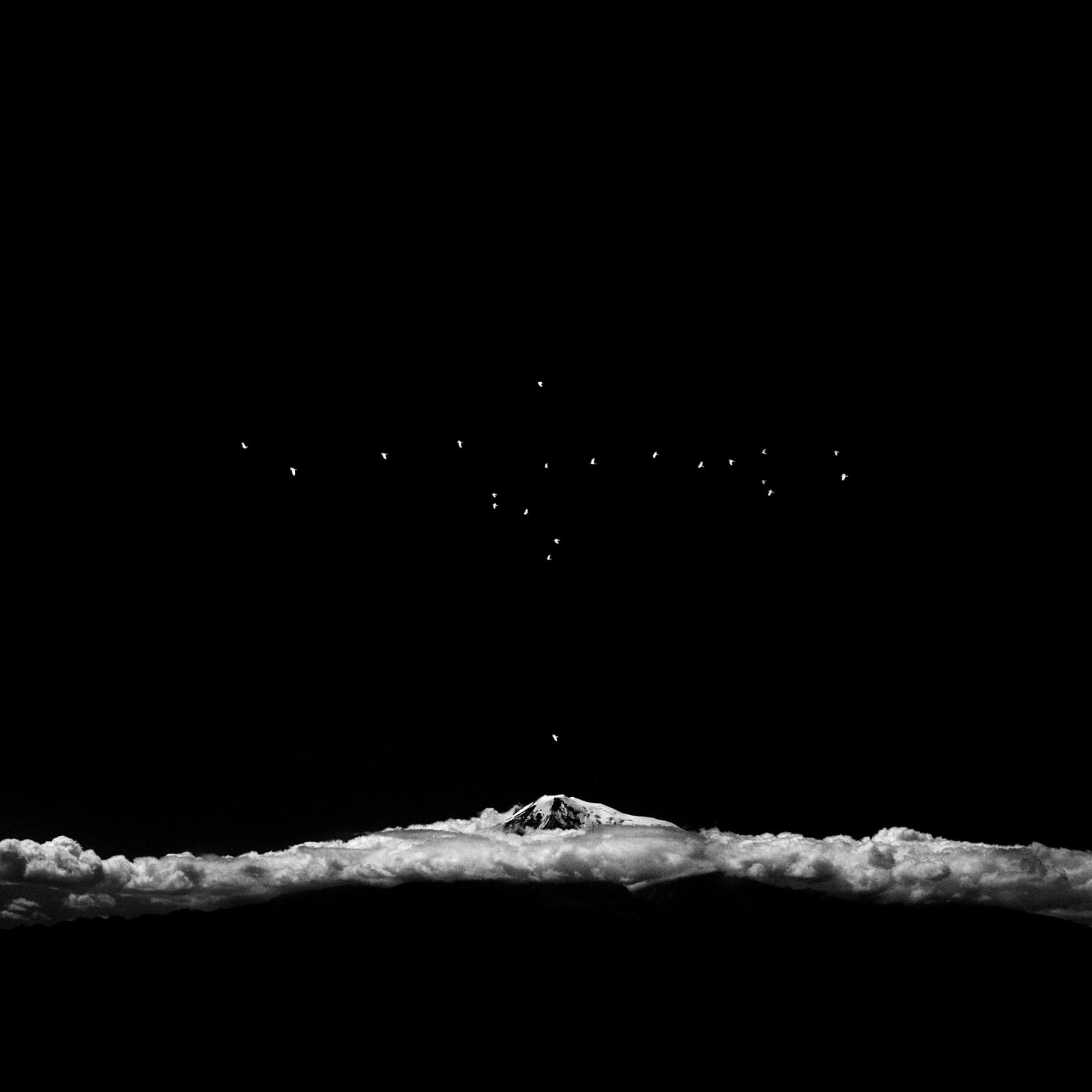 OSHEEN HARRUTHOONYAN, Starlings over Ararat