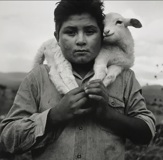 RUSSELL MONK, Young Shepherd, Mexico, 2010