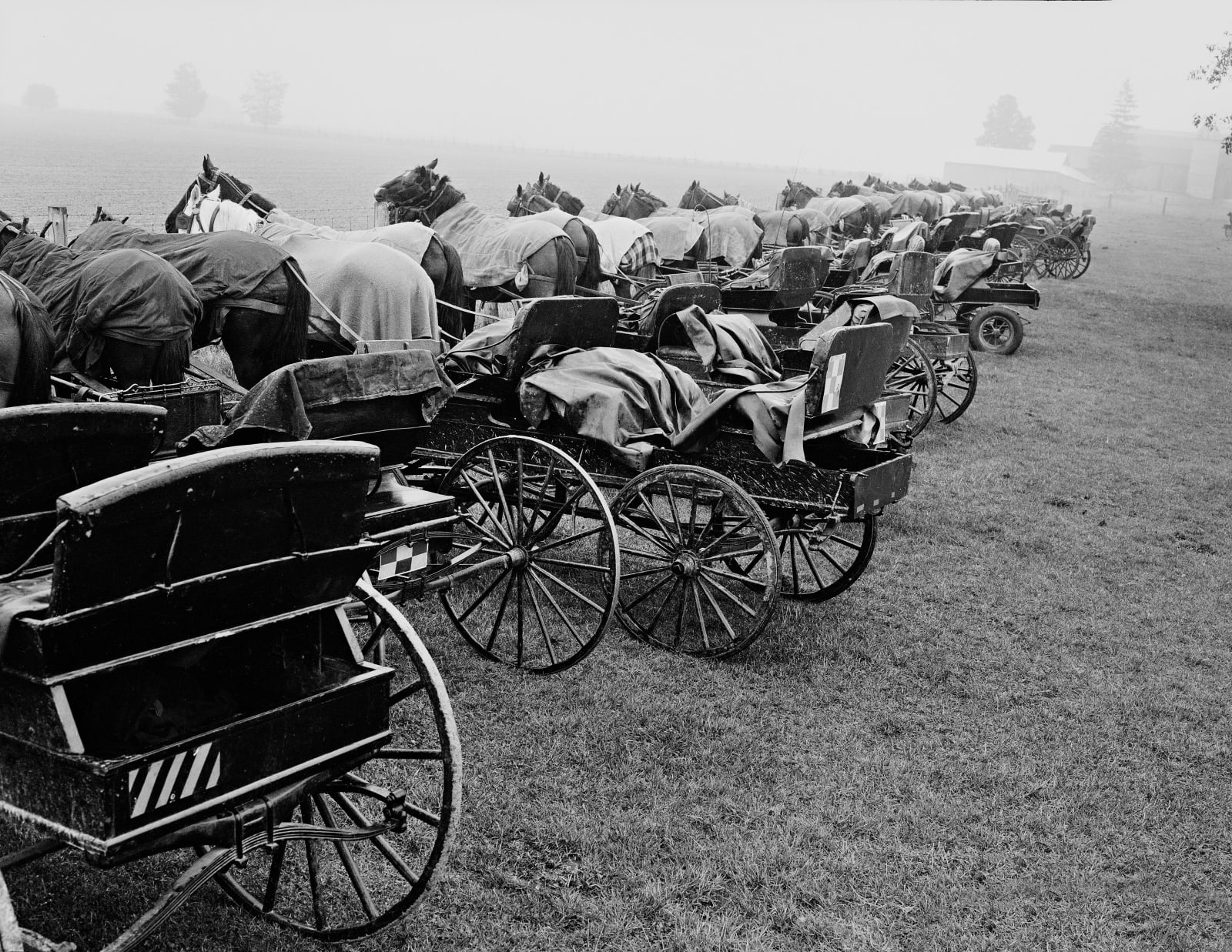 DAVID L. HUNSBERGER, Horse and Carriage, 1954