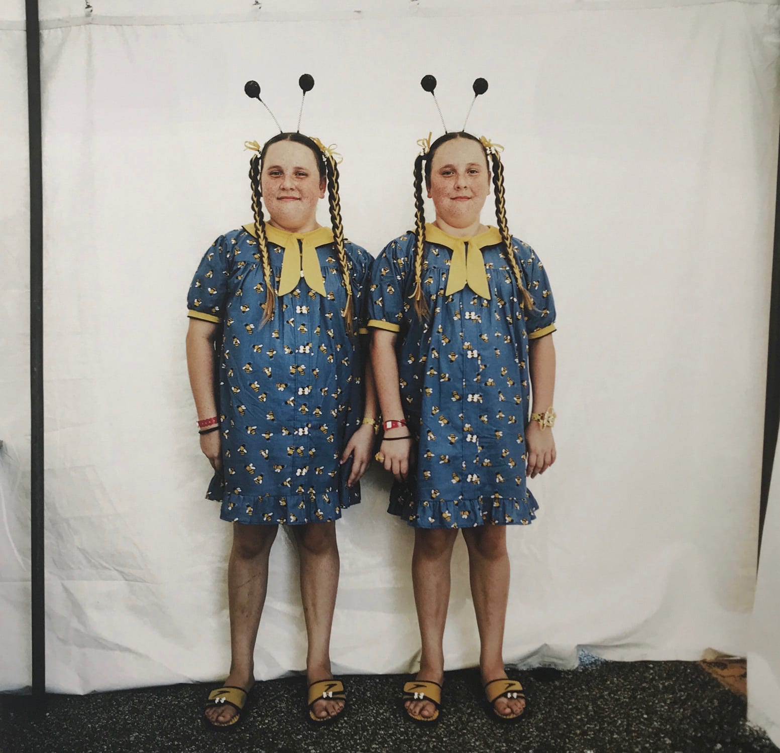 RUSSELL MONK, Bee Twins, Twinsville, Ohio, 2015