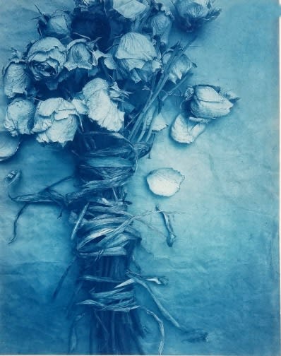 DIANA BLOOMFIELD, Bound Roses, 2019