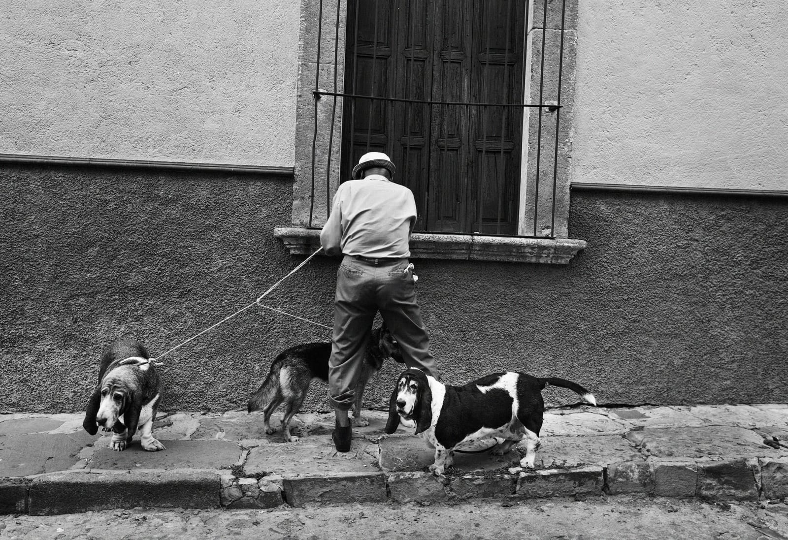 RUSSELL MONK, Calle Chiquitos, San Miguel Allende, 2010