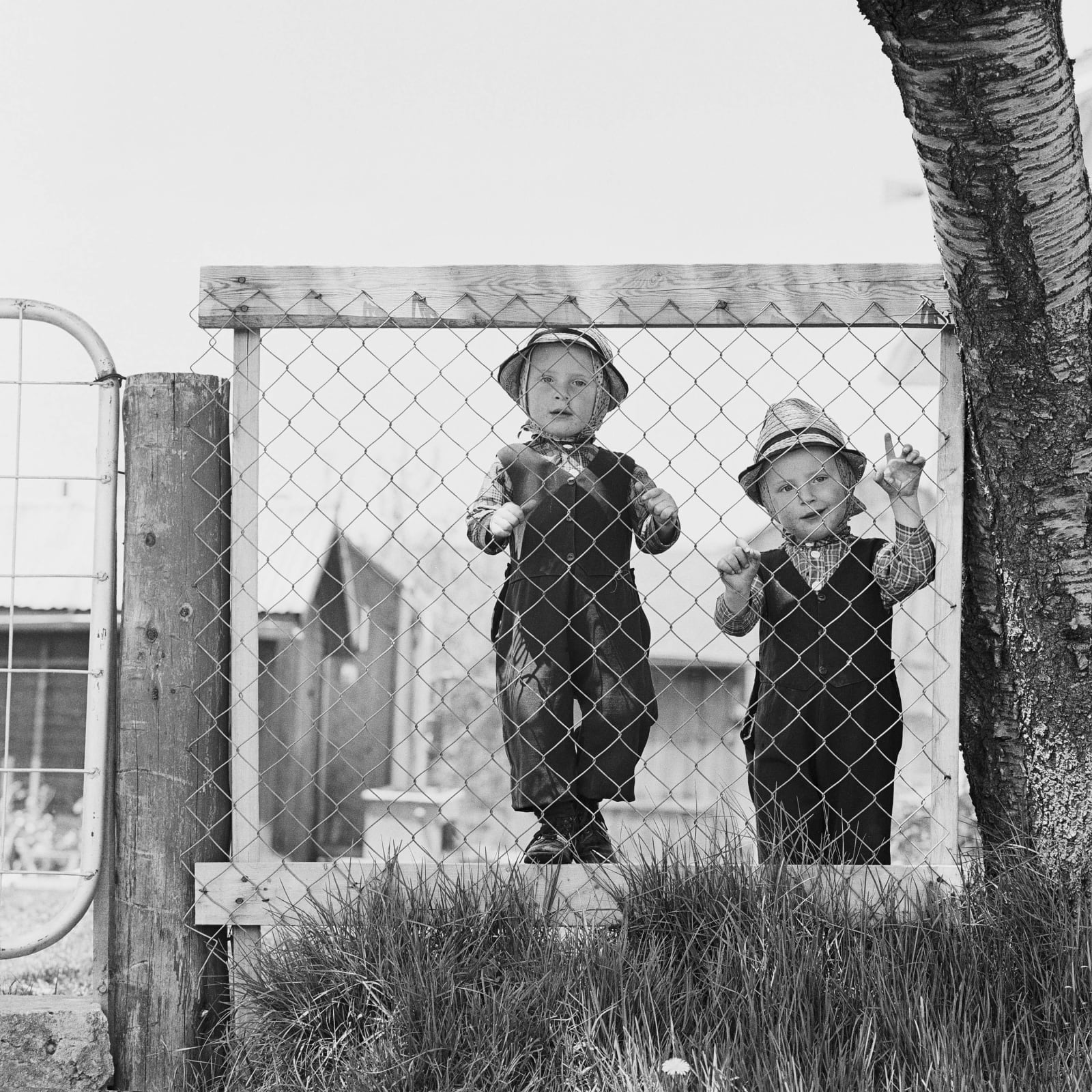DAVID L. HUNSBERGER, Boys on Fence, 1967