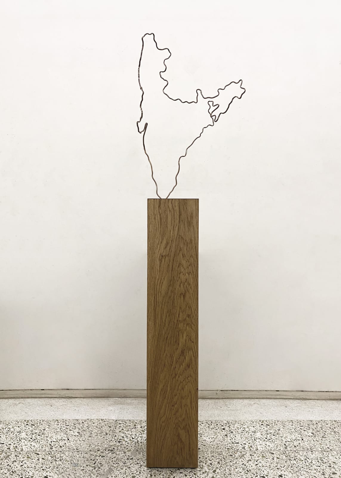 Shilpa Gupta, MapTracing #1-IN, 2012 - ongoing