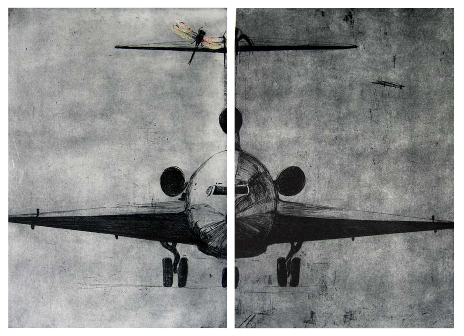 Tanujaa Rane, Angel of this Land II , 2005