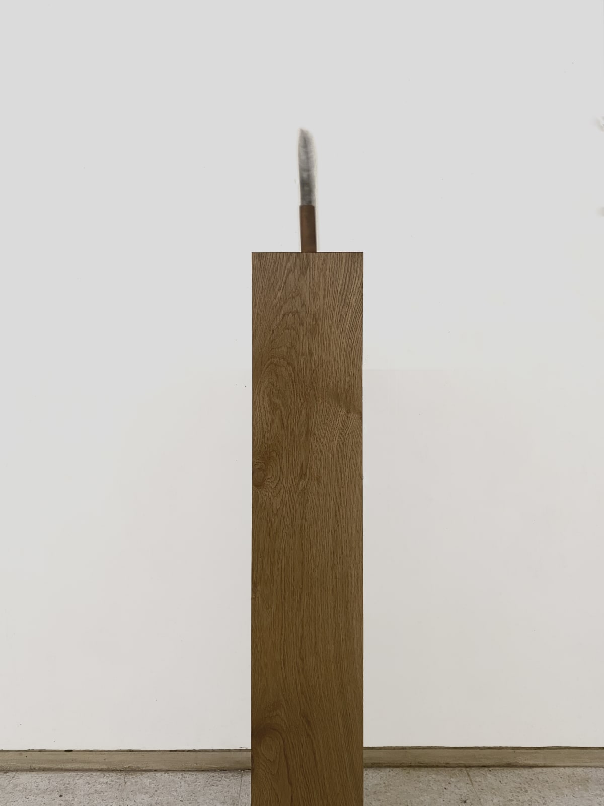Shilpa Gupta, Untitled (From 6, 7.5, 2 series, Knife) , 2020