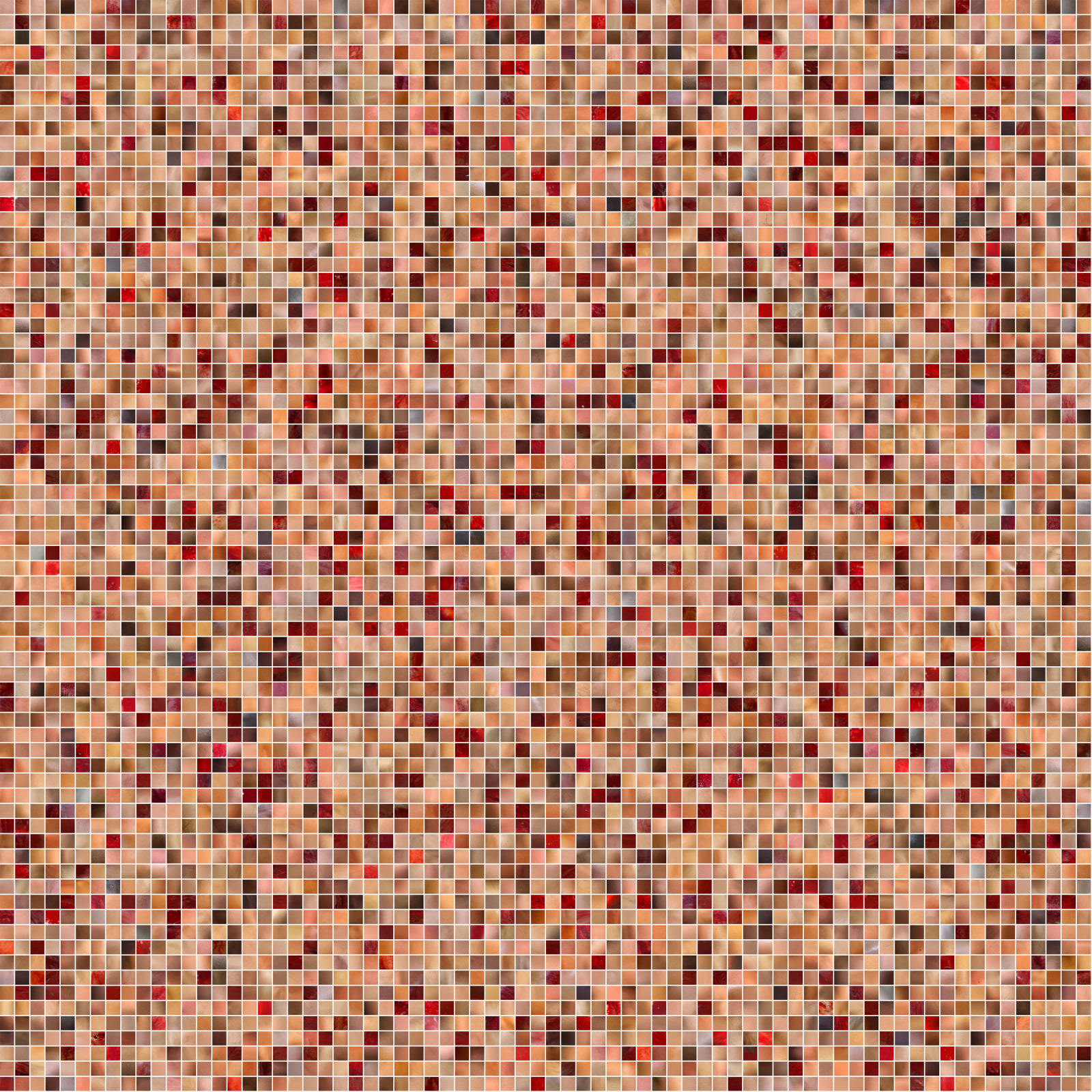 Rashid Rana, What Lies Between Flesh And Blood, 2009