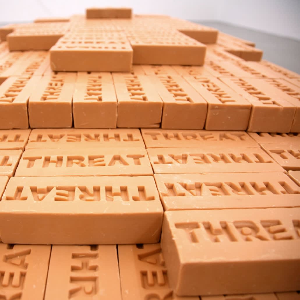 Shilpa Gupta, Threat, 2008-09