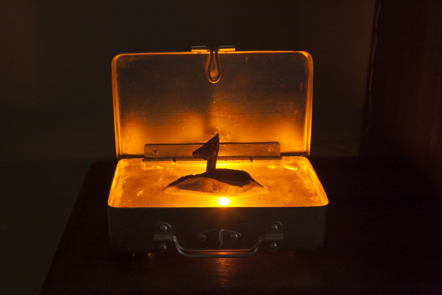 Archana Hande, POI / भारत के लोग, 2014