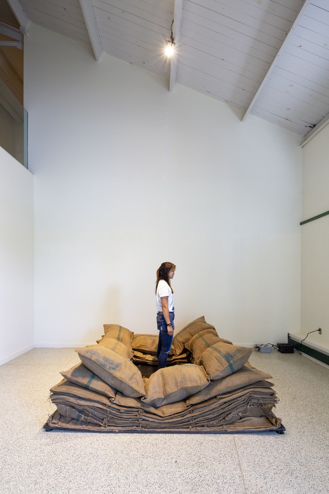 Tallur LN, Panic Room, 2006