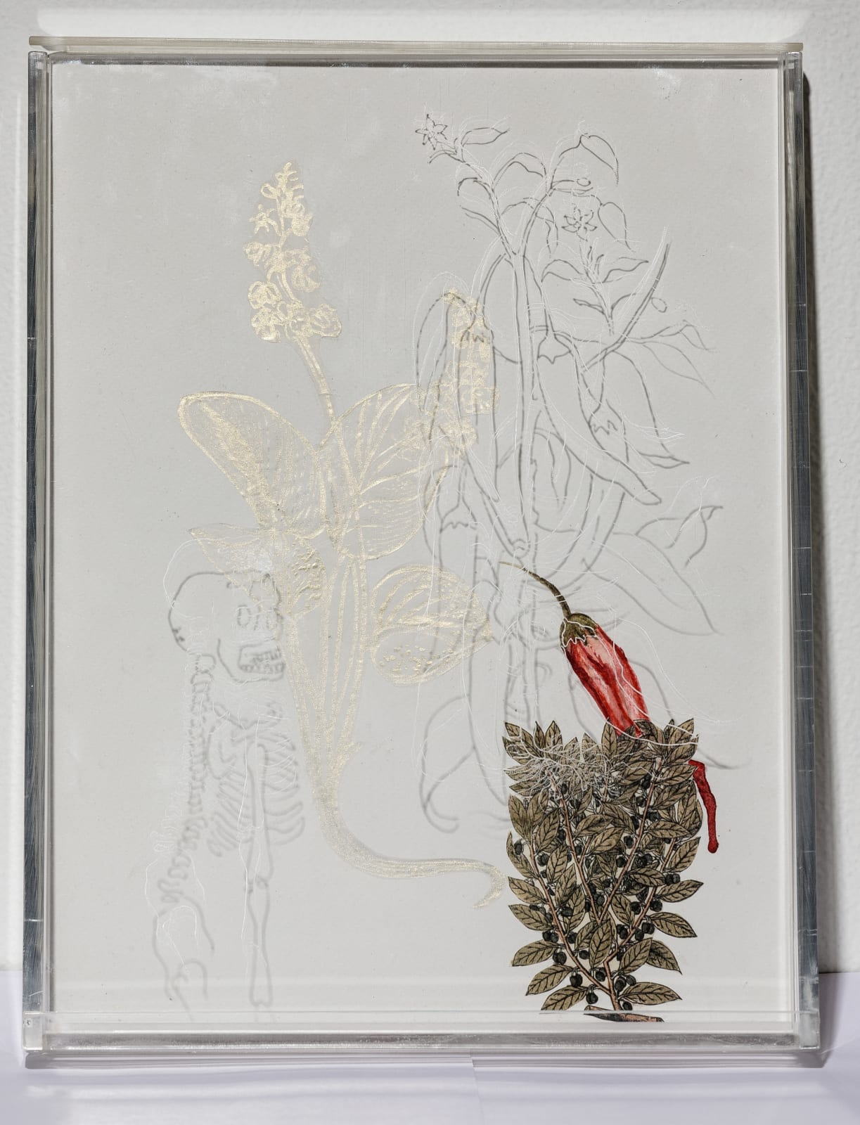 Mithu Sen, Falling Upwards, 2015