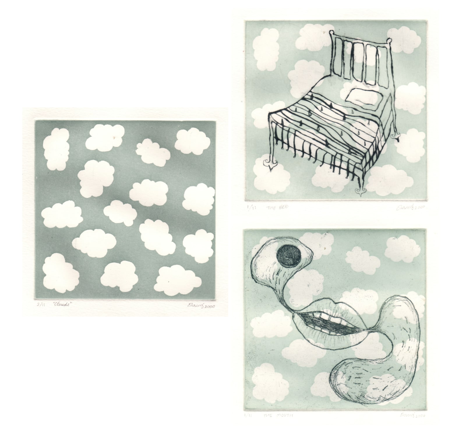 Dhruvi Acharya, Clouds, The Bed, The Mouth, 2000