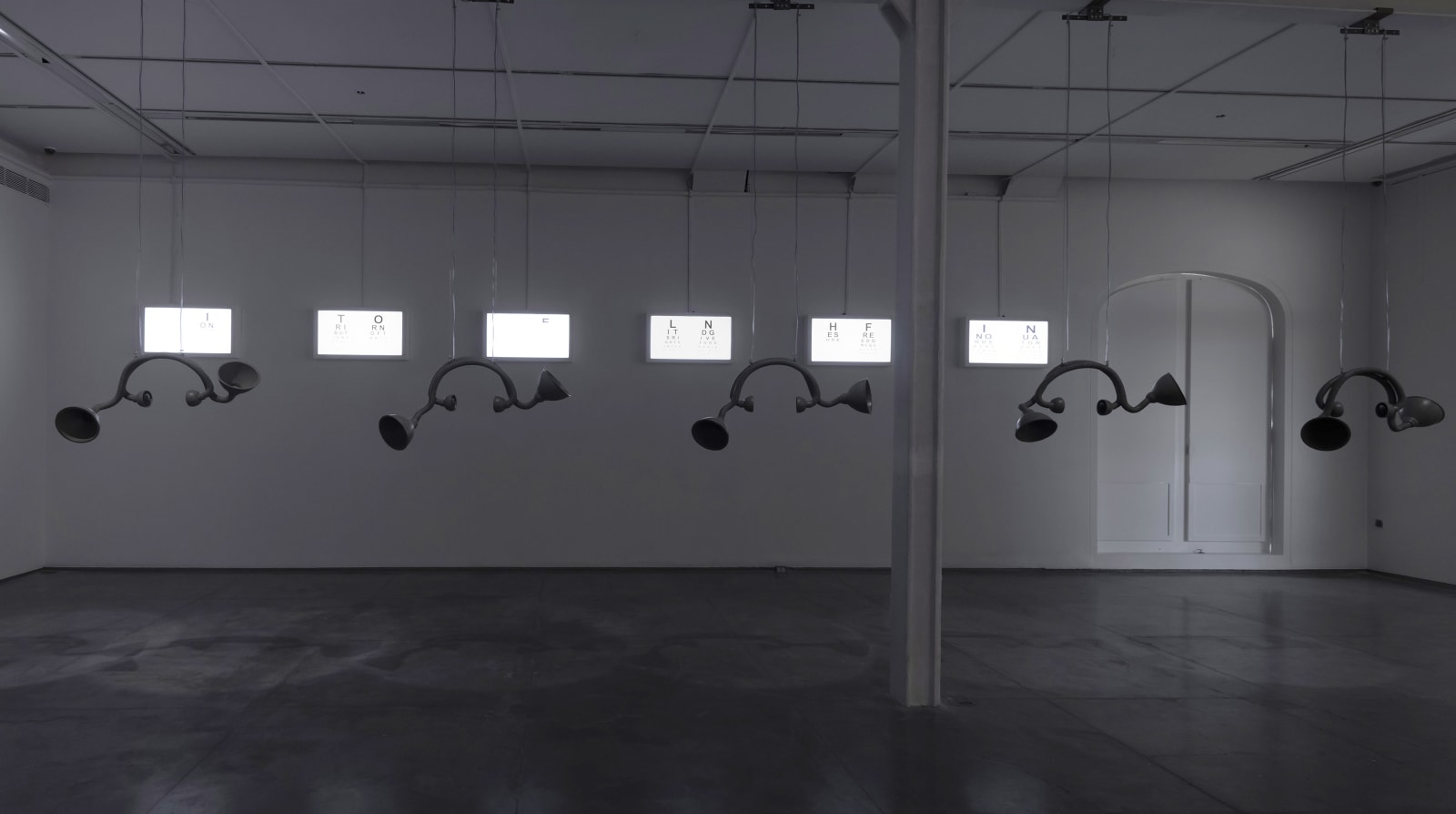 Reena Saini Kallat, Blind Spots, 2017-19