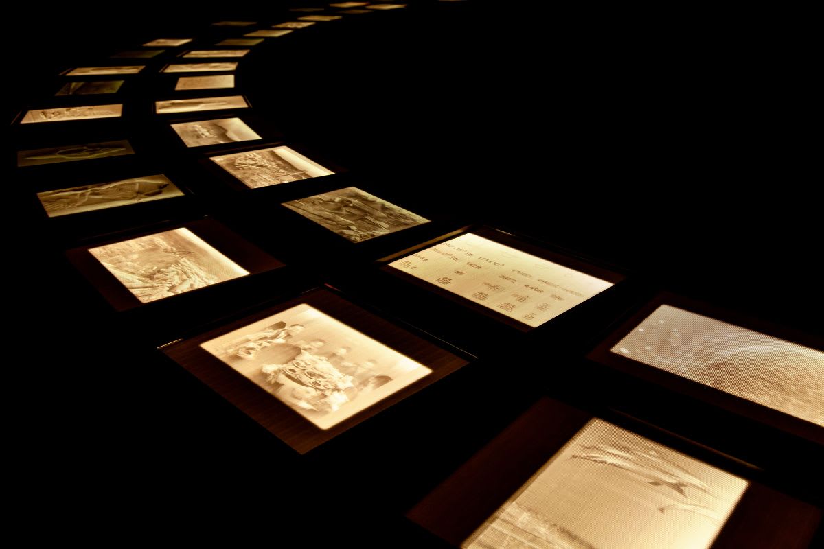 Jitish Kallat, Covering Letter (detail), 2020