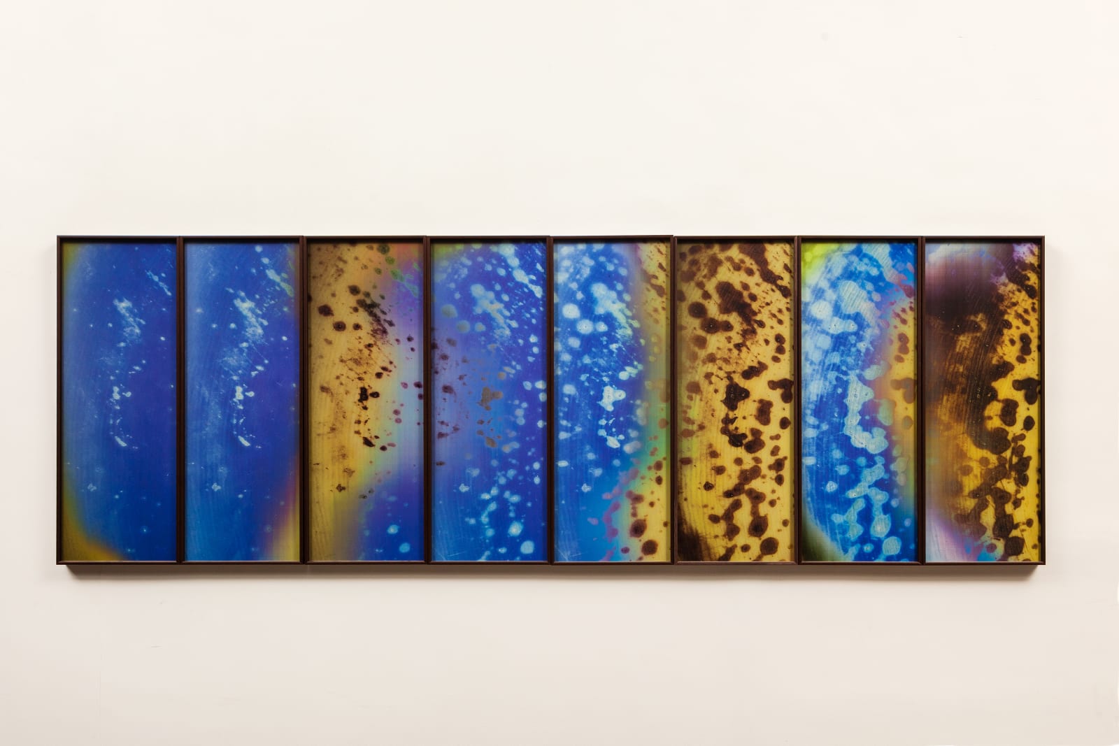 Jitish Kallat, Sightings D8-D13 M1 Y2016, 2016